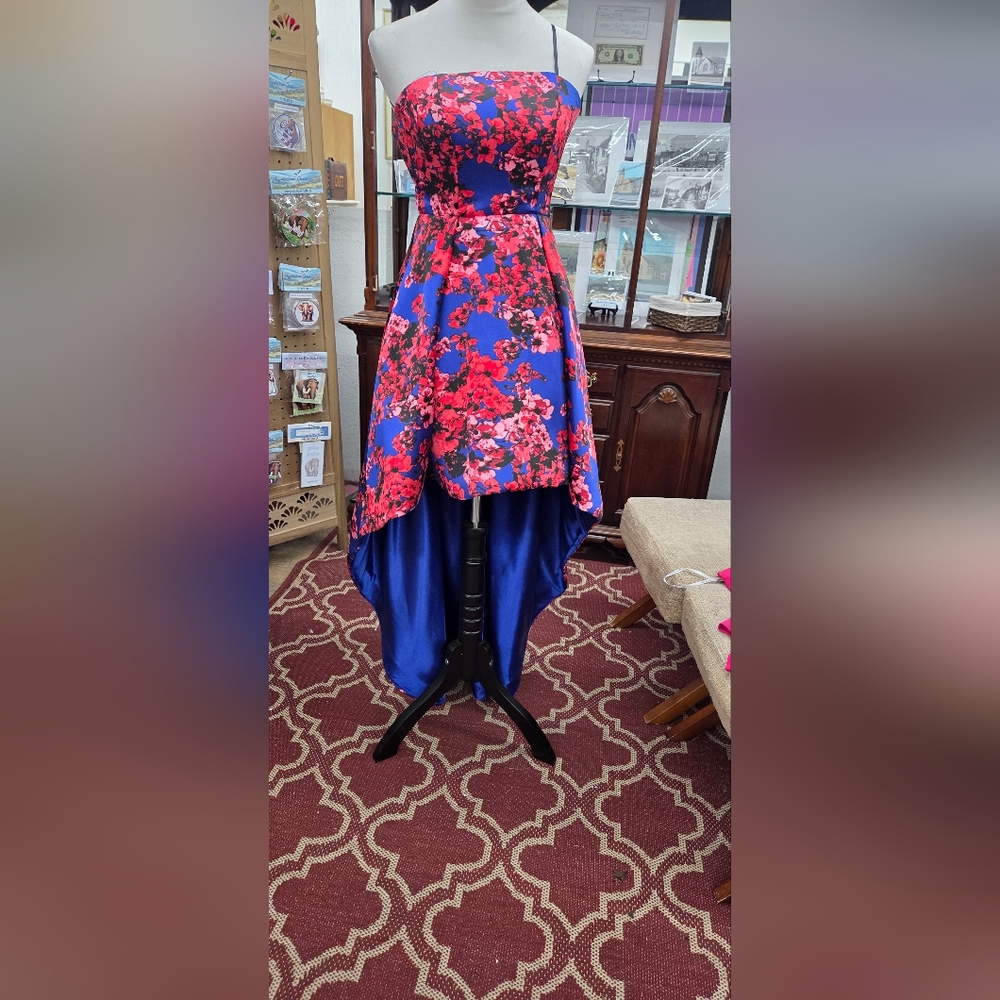 B Darlin Blue and Red Floral Skirt